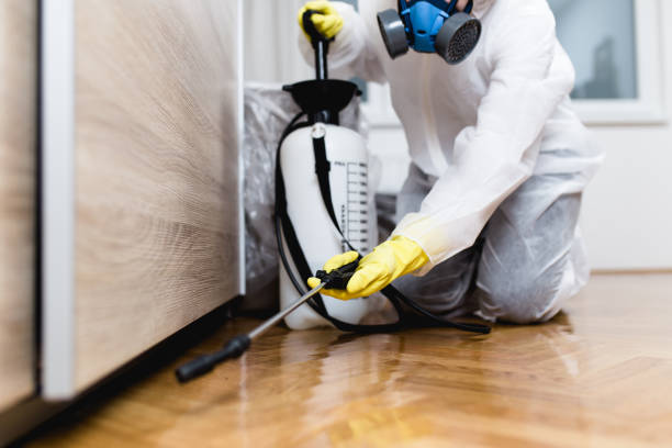 Best Commercial Pest Control Services  in Creve Coeur, MO