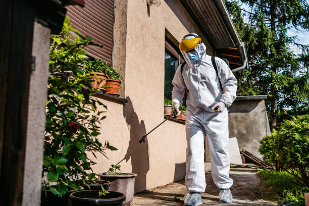 Best Best Pest Control Near Me  in Creve Coeur, MO