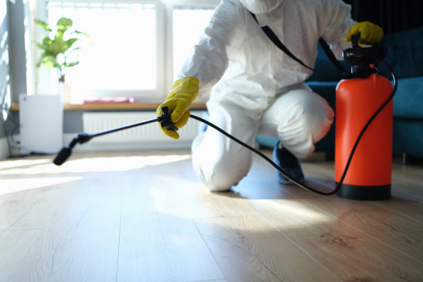 Best Best Pest Control Companies  in Creve Coeur, MO