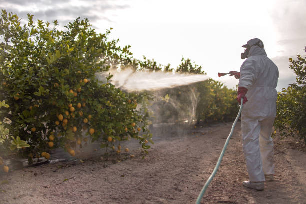 Best Pest Control Near Me  in Creve Coeur, MO