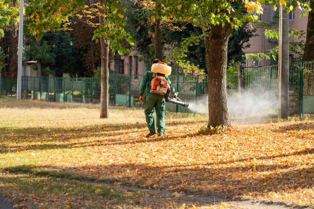 Best Pest Removal Services  in Creve Coeur, MO