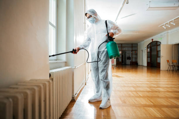 Best Emergency Pest Control  in Creve Coeur, MO