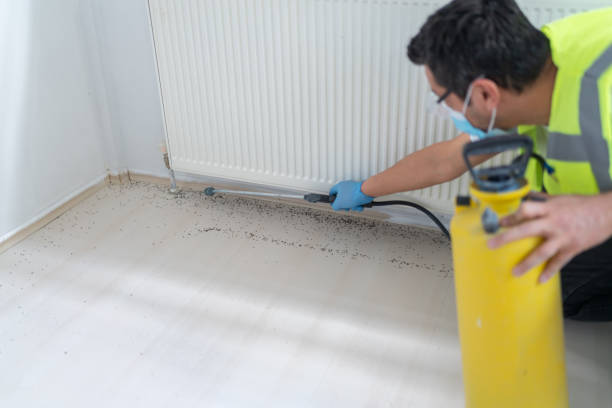 Best Pest Prevention Services  in Creve Coeur, MO
