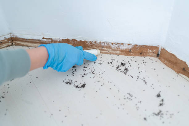 Pest Control Cost in Creve Coeur, MO
